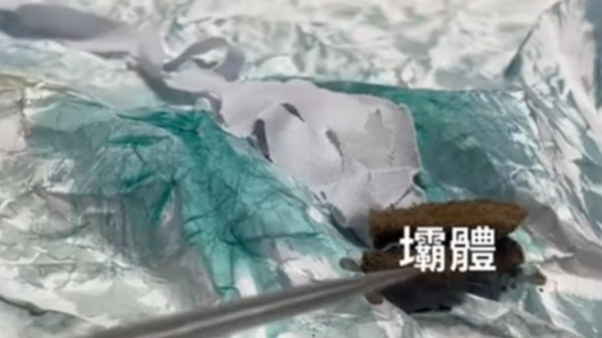 林保署自製影片說明溢流時間序。(圖/林保署)
