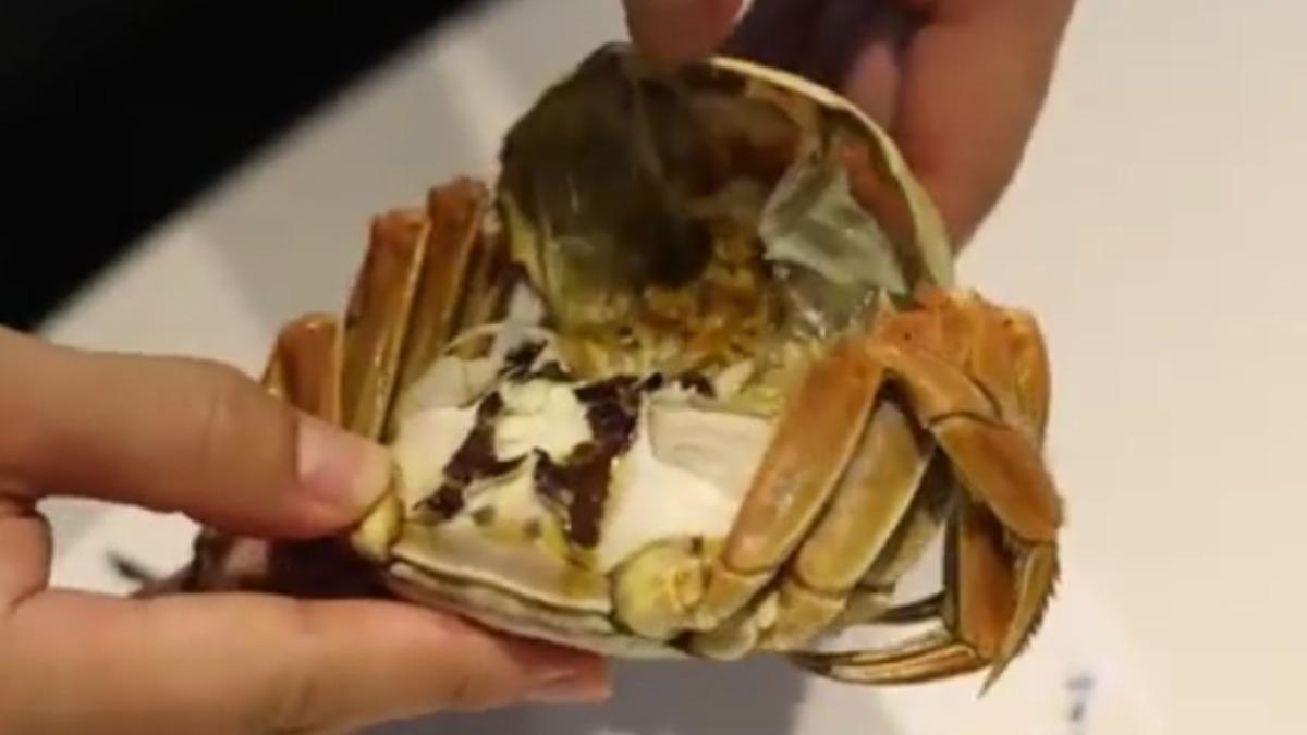 上海當季大閘蟹蟹黃飽滿。(圖/上海東方衛視)