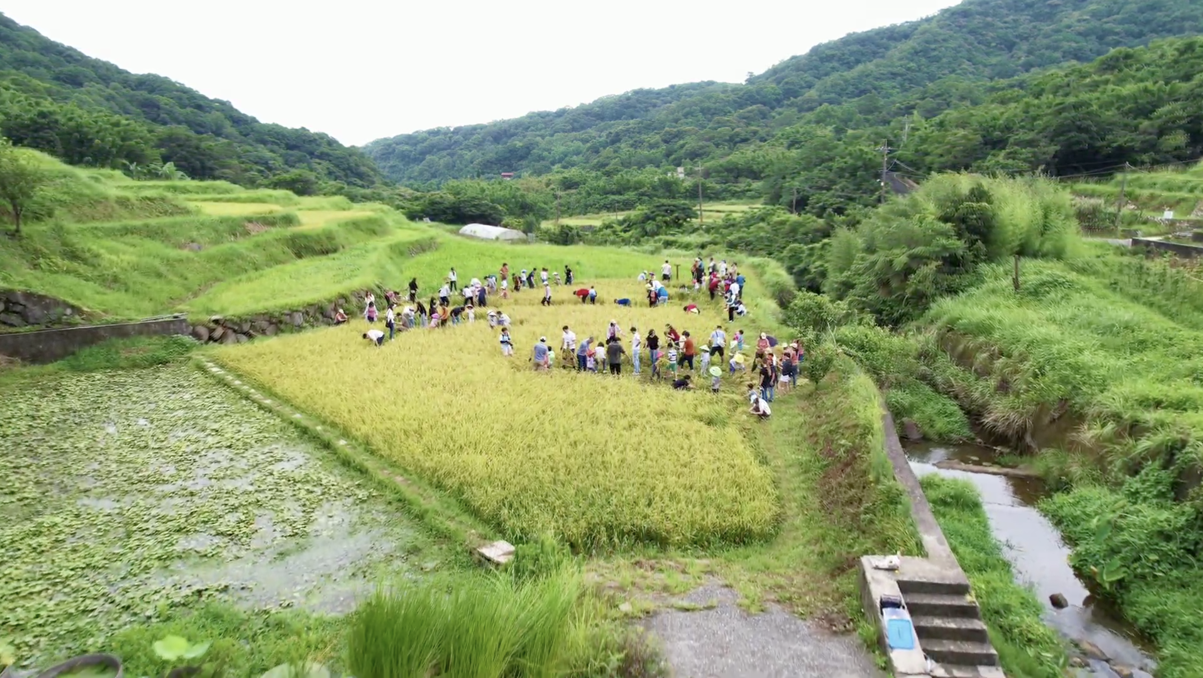 ▲出磺口農場的梯田，成為親子體驗生態的新型教室（圖／陳韻竹提供）