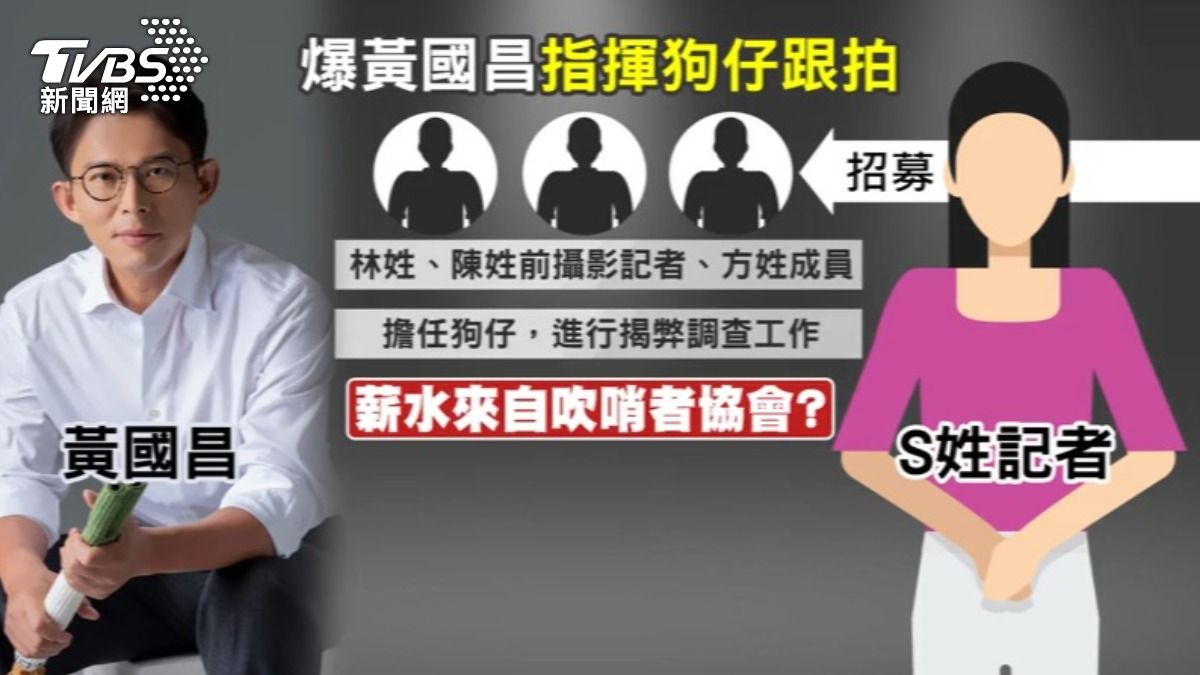 黃國昌遭爆料養狗仔跟拍綠營政治人物，關係圖曝光。（圖／TVBS）