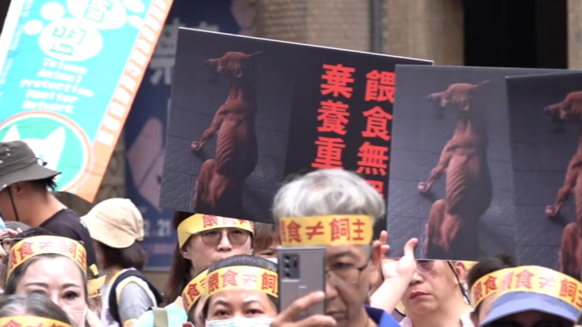浪犬攻擊事件頻傳!「禁餵食」惹議 動保團體:恐讓牠們更具攻擊性