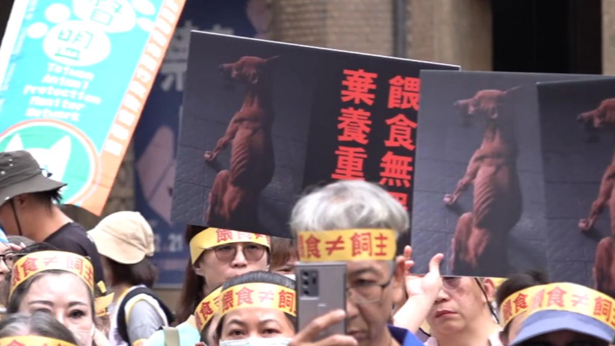 動保團體發起抗議活動,到農業部門口陳情。(圖/TVBS)