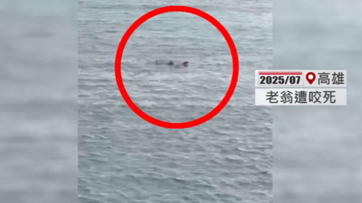 日前發生浪犬攻擊人類事件,引發社會關注。(圖/TVBS)