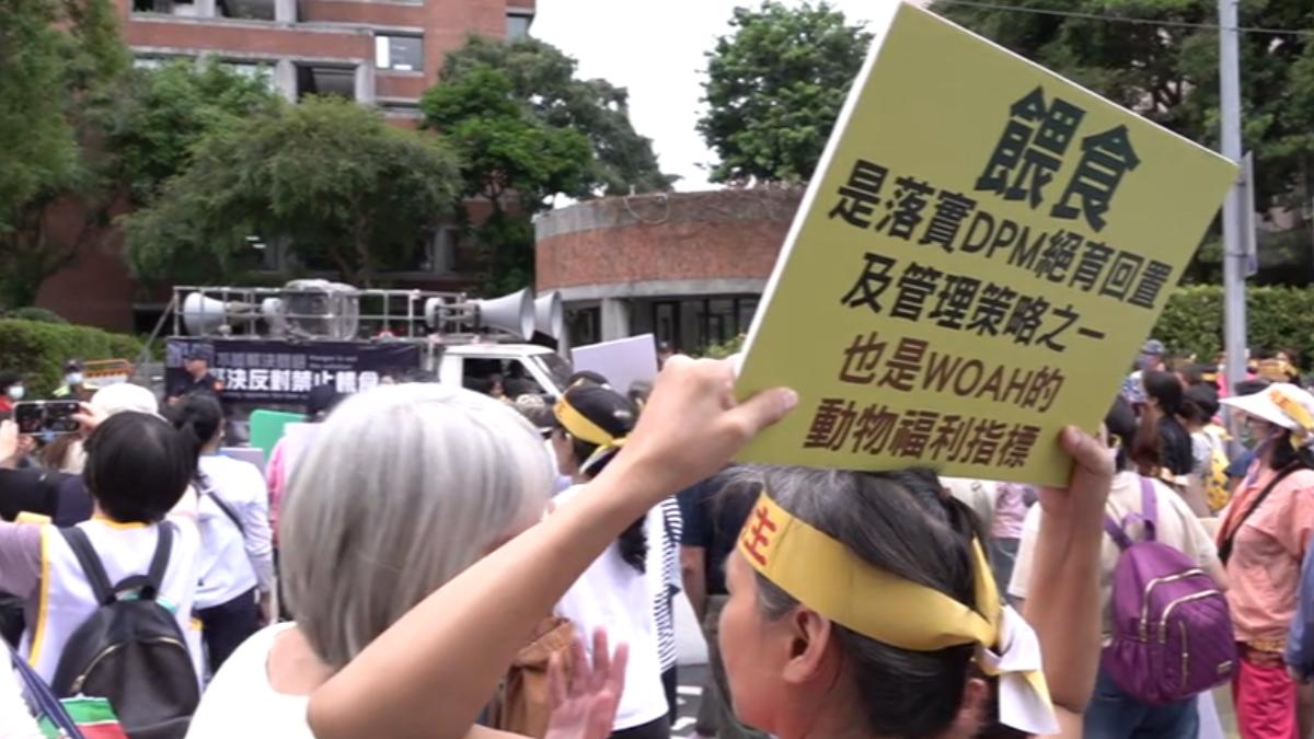不少動保人士到場聲援。(圖/TVBS)