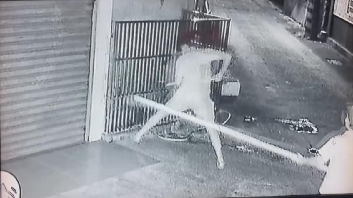 屏東男鐵管瘋刺!狗屍臥血泊 動保人士找上門「聽這句」氣炸
