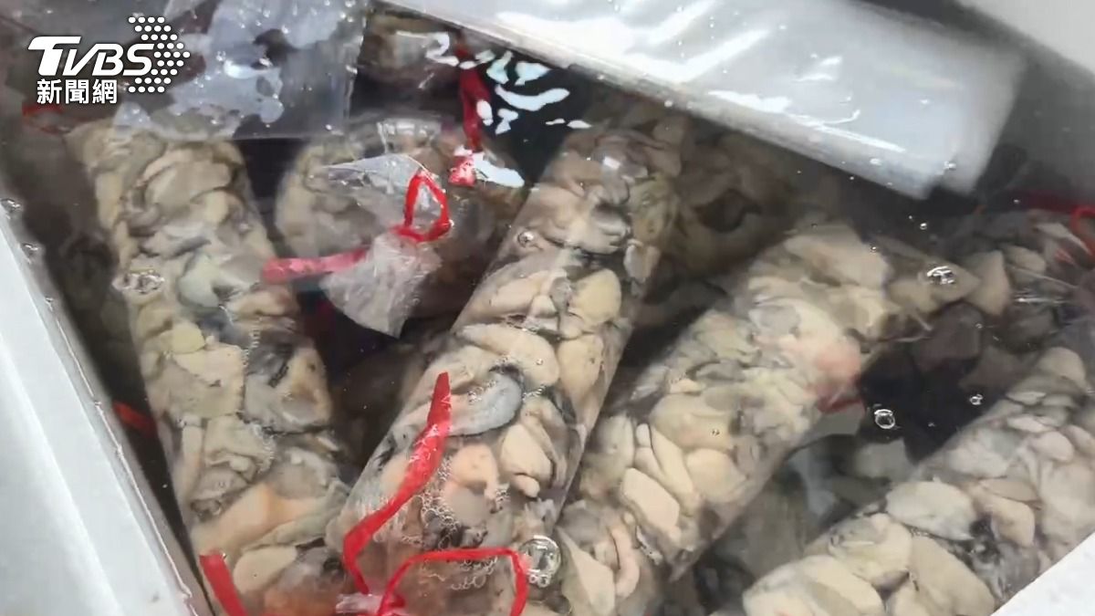 中秋節烤肉旺季！颱風重創南部沿海，牡蠣恐是「舶來品」。（圖／TVBS）