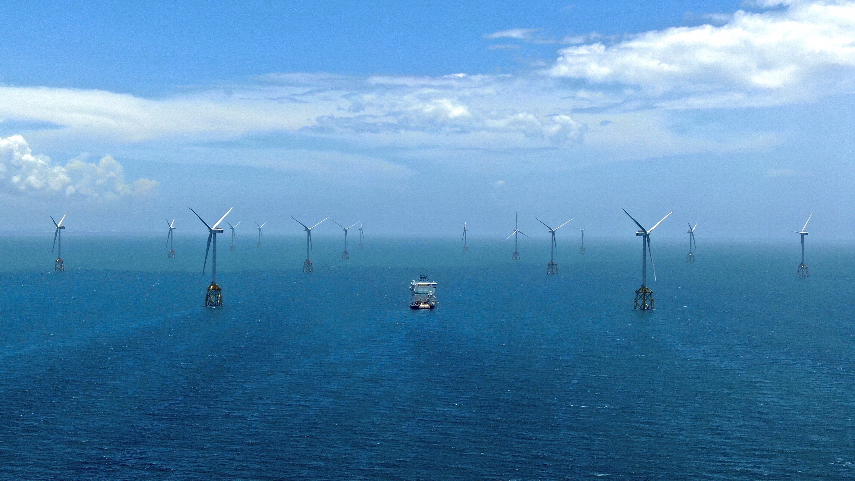 搏風浪築綠能 台電離岸一期喜見白海豚與魚群棲息