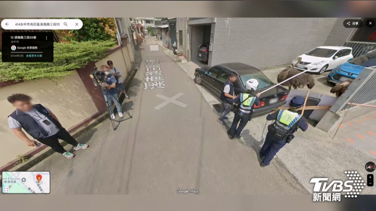 台灣特殊街景!鴕鳥逃亡被Google車拍下 員警圍捕全入鏡。(圖/TVBS)
