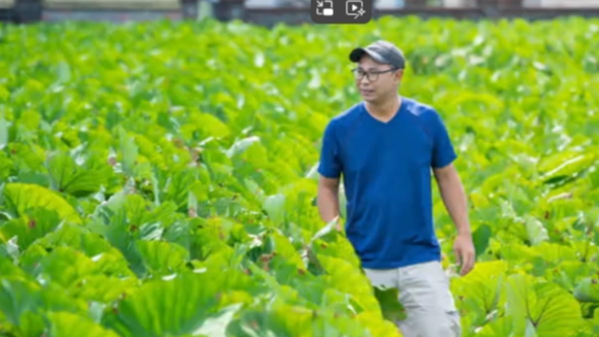 農二代郭先生，之前當工程師年薪不到40萬，返鄉接手芋頭園後打響名號。（圖／郭先生提供）