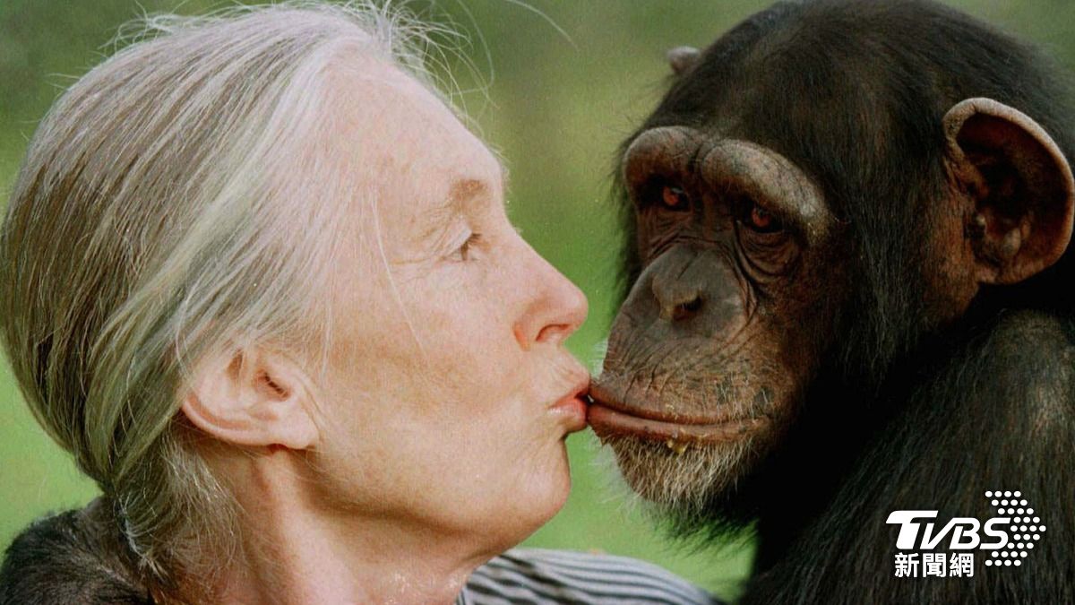 保育巨擘珍古德辭世!享耆壽91歲 哈利王子等名人悼念致敬