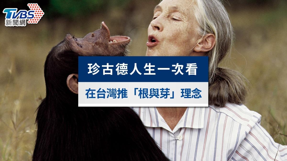 珍古德過世》曾訪台灣19次，黑猩猩保育奮鬥史、生平名言全解析