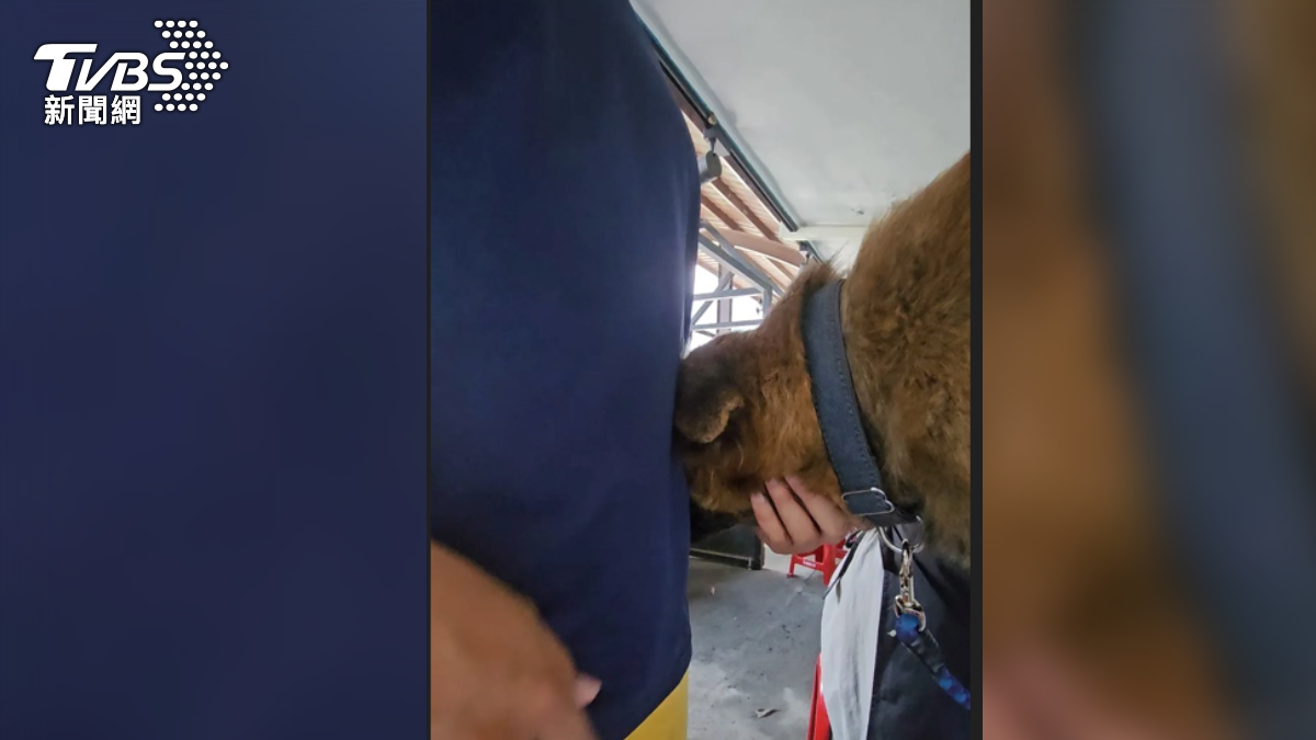 動物救援志工vs高雄搜救隊員:「喂...牠真的只找你耶,不能下來...還不能下來,喔...好棒喔,怎麼那麼黏呀(圖/翻攝Threads_nanapan66)