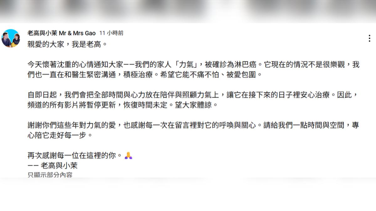 老高和小茉為照顧愛犬暫時停更頻道。(圖／翻攝自老高與小茉 Mr & Mrs Gao YT頻道)