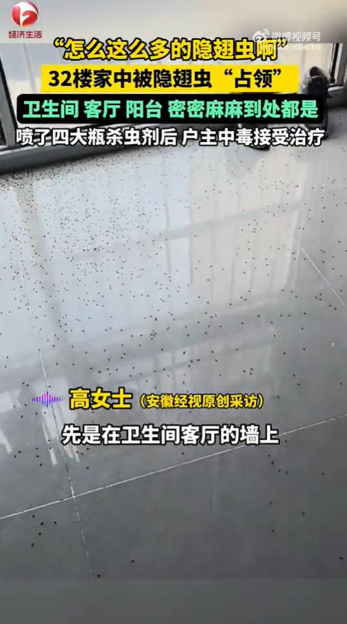 大陸一名女子家中遭到隱翅蟲大軍侵襲。(圖/翻攝自半島都市報)