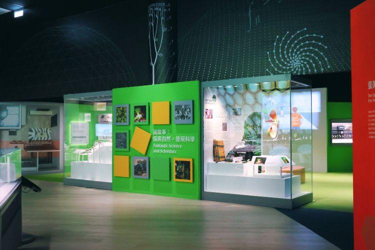 去年翻新的《奇幻自然》展區同樣在免費參展範圍。(圖/翻攝自國立自然科博館)
