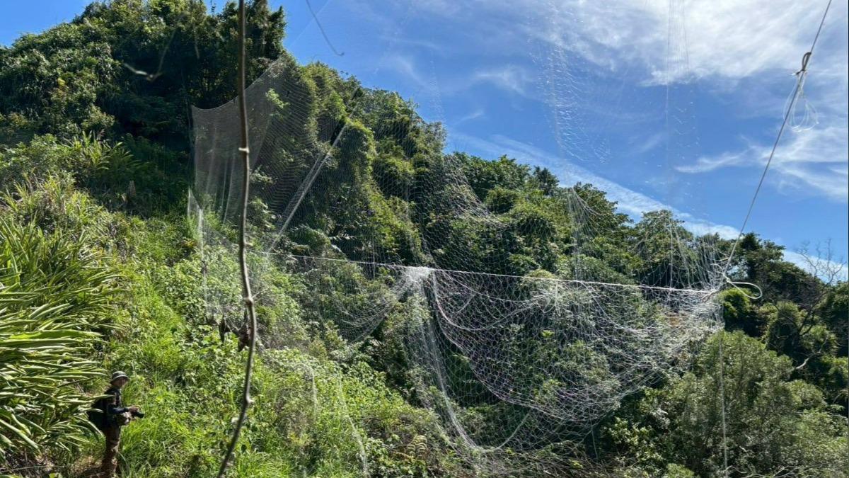 七堵山區見大規模鳥網,已遭移除。(圖/基隆市動保所)