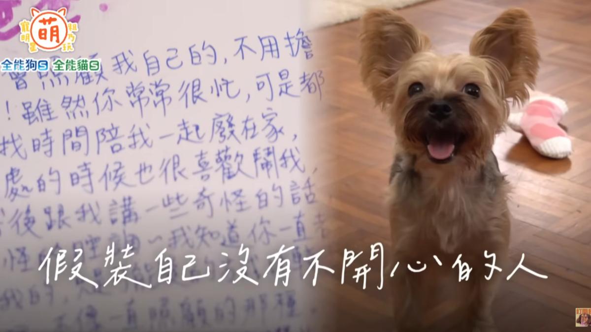 信裡面寫滿了Miki想對酷說的話。(圖/萌寵明星粗乃玩提供)