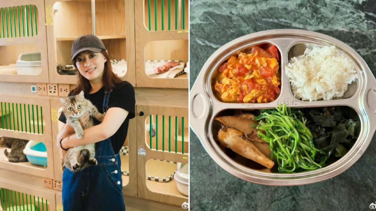 讓孫儷也愛的「乾淨飯」是什麼?211餐盤菜色比例一次看