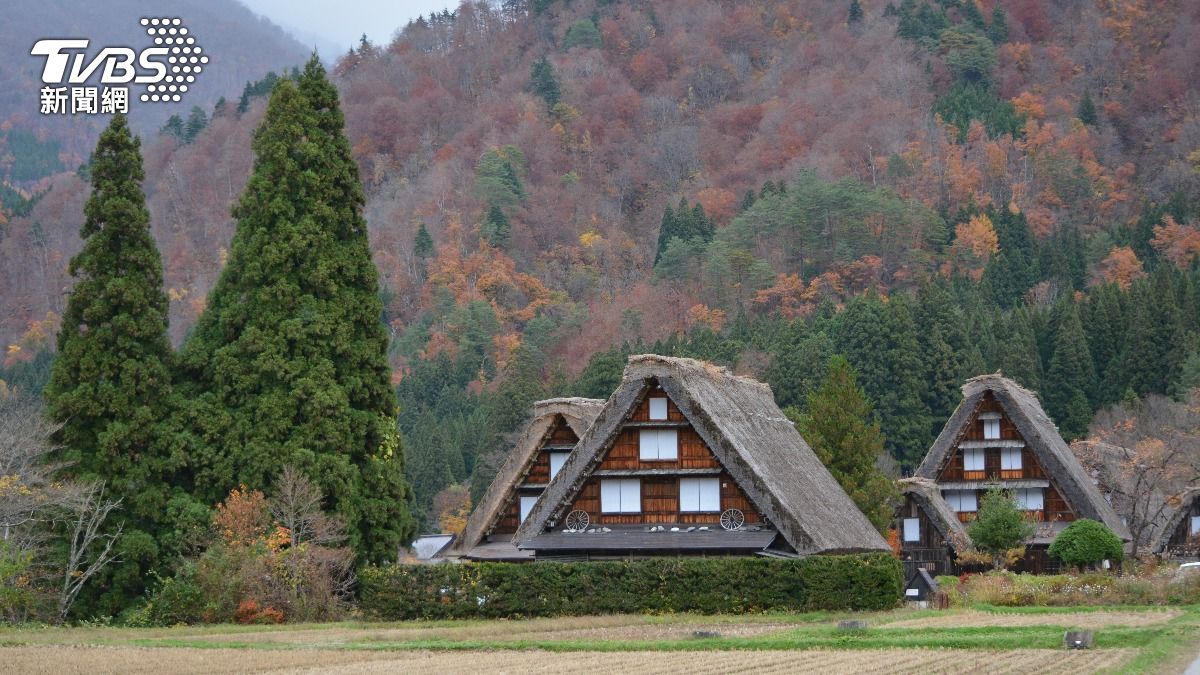 日本白川鄉合掌村「熊出沒」!一遊客遇襲送醫 展望台急關閉