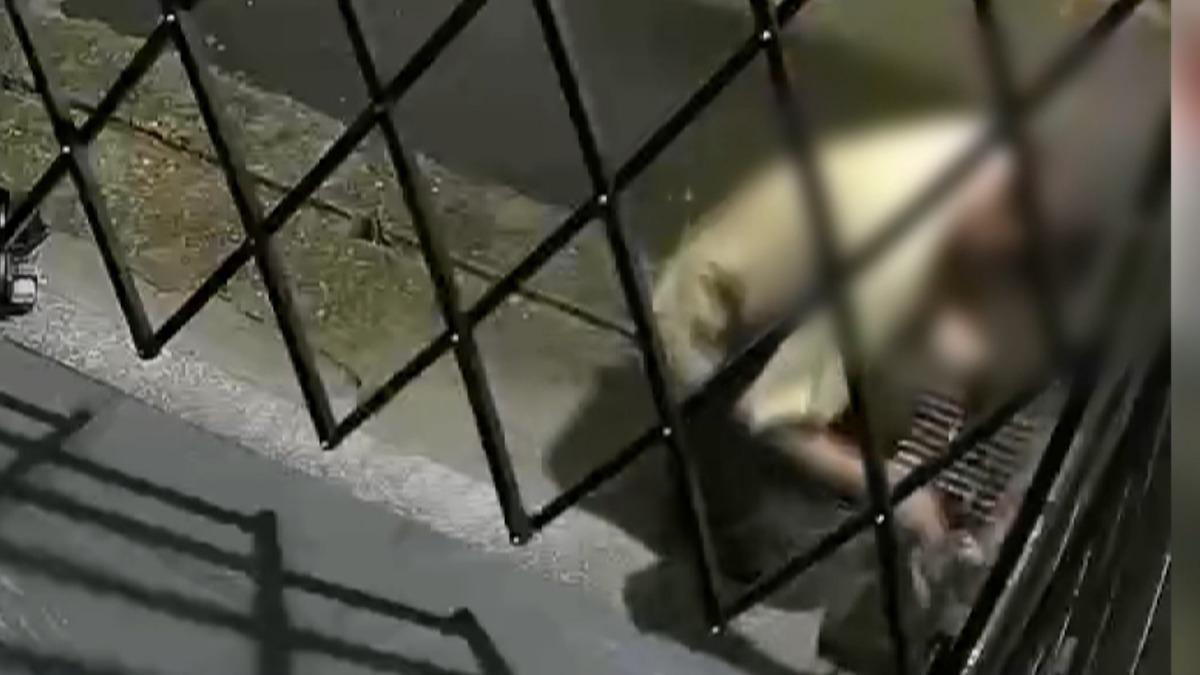 黃衣賊咬電筒翻牆 蹲門口整贓物。(圖/民眾提供)