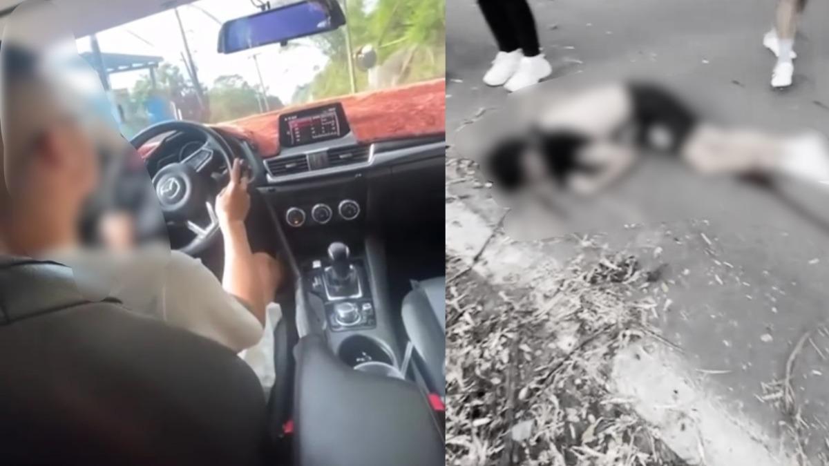 車輛高速行駛,後座女乘客不斷嗨喊尖叫。(圖/翻攝記者爆料網)