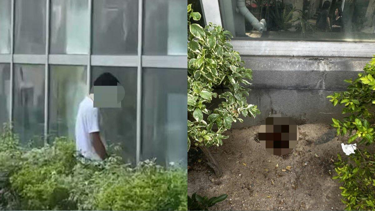 司機路邊草叢小便！他尾隨拍下「犯罪證據」　網笑翻：還有熱氣
