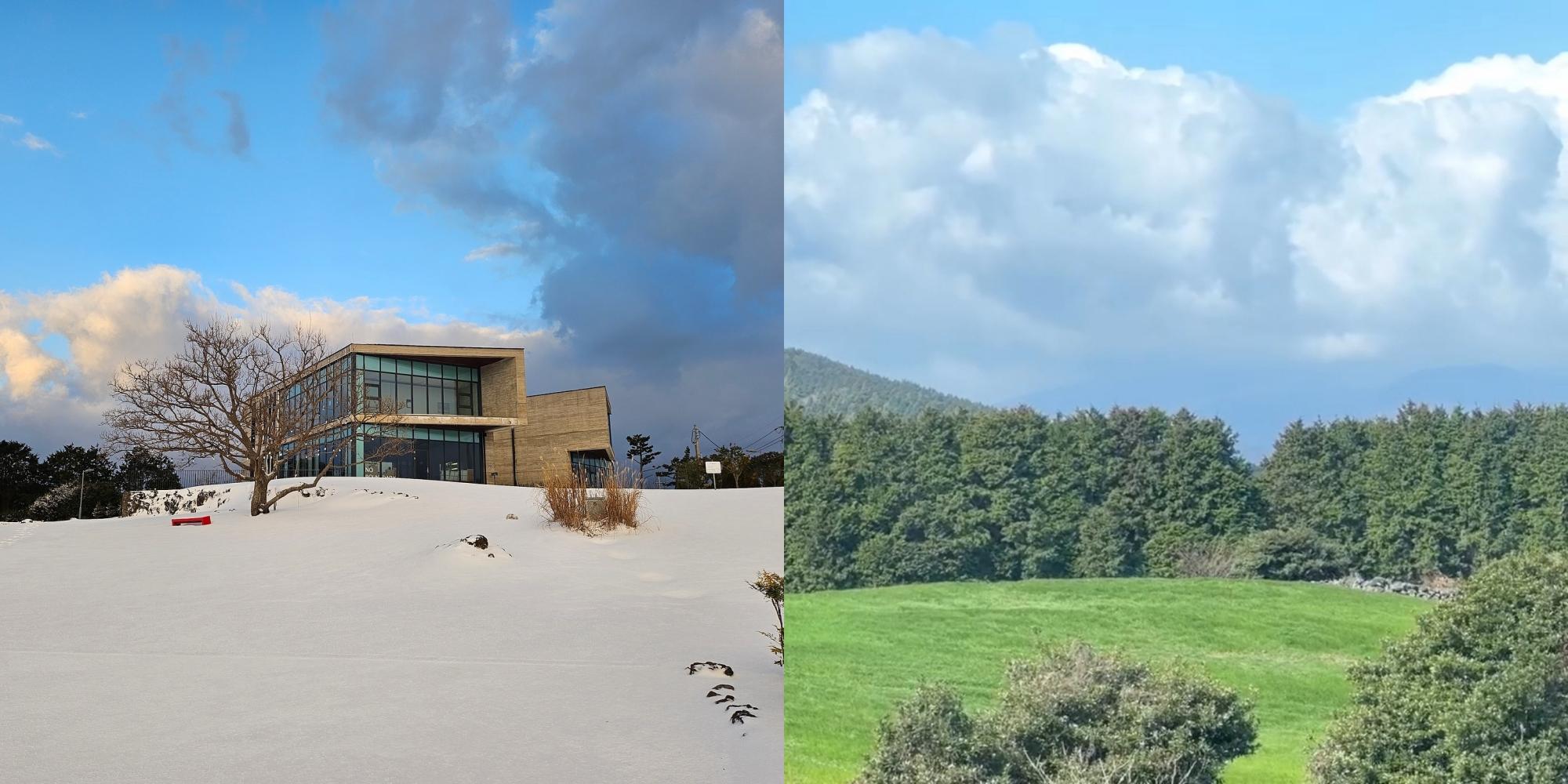 白佳幫忙設計的濟州島咖啡廳占地遼闊。(圖/翻攝自咖啡廳IG)