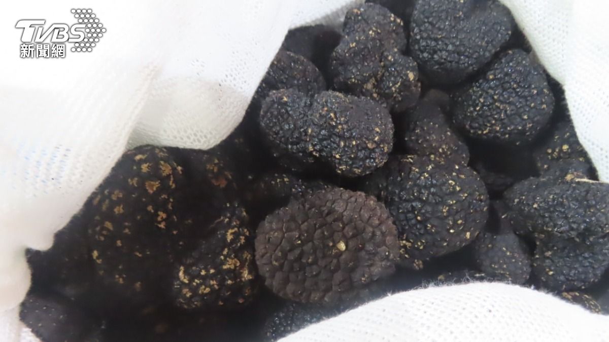 羅馬尼亞新鮮黑松露重金屬超標。（圖／食藥署提供）