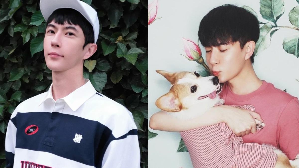 于朦朧愛犬遭虐死！崩潰喊「我要殺了你們」　當紅男星被爆是凶手