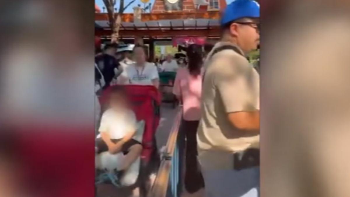 中秋連假亂象多,上海迪士尼現「巨嬰嬰兒車」。(圖/民眾提供)
