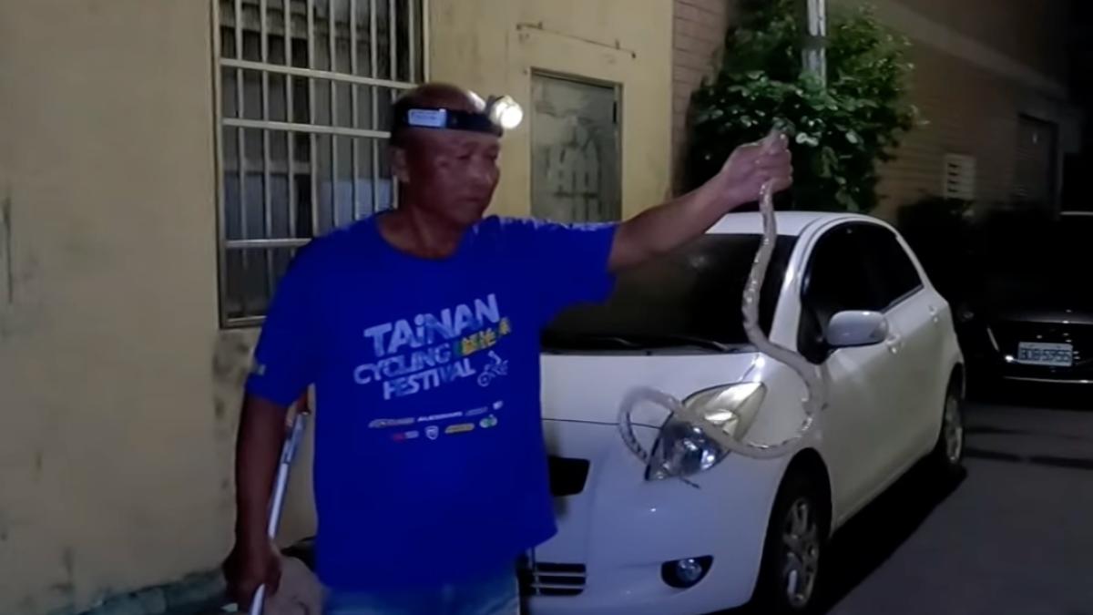 蛇窟旁玩耍!突竄「超粗雨傘節」孩童嚇壞 巡守隊急出動
