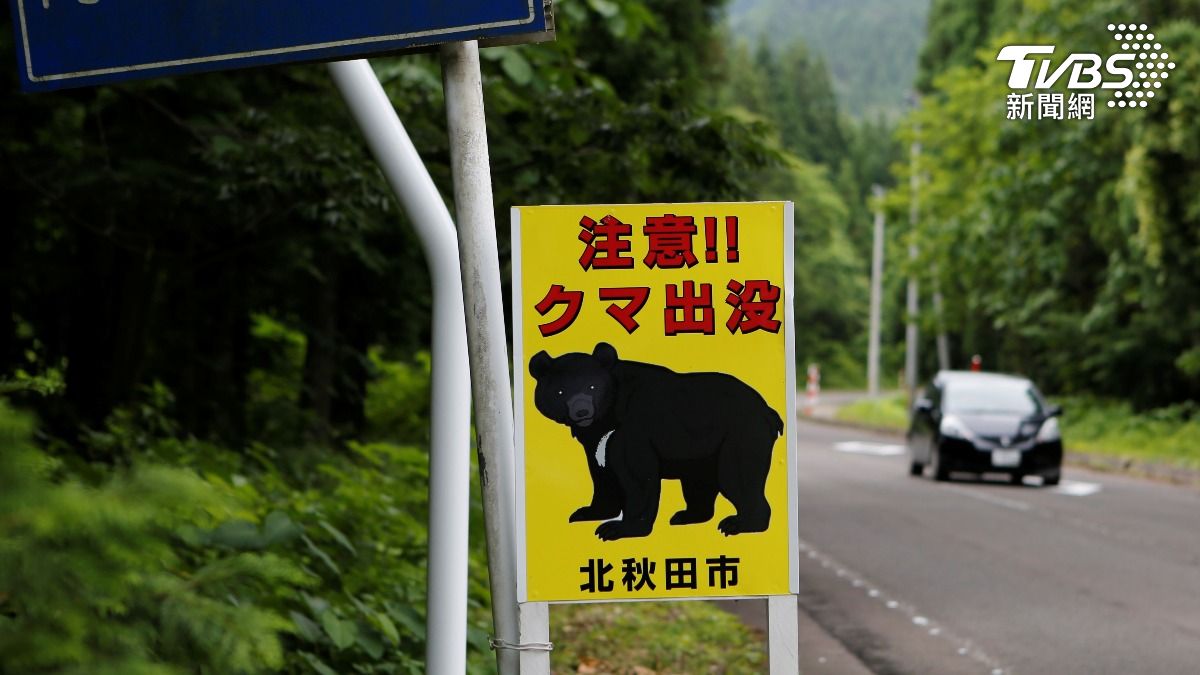 日本頻傳野熊攻擊人類事件,北秋田市校區架設小心野熊出沒告示牌 (圖/達志影像路透社)