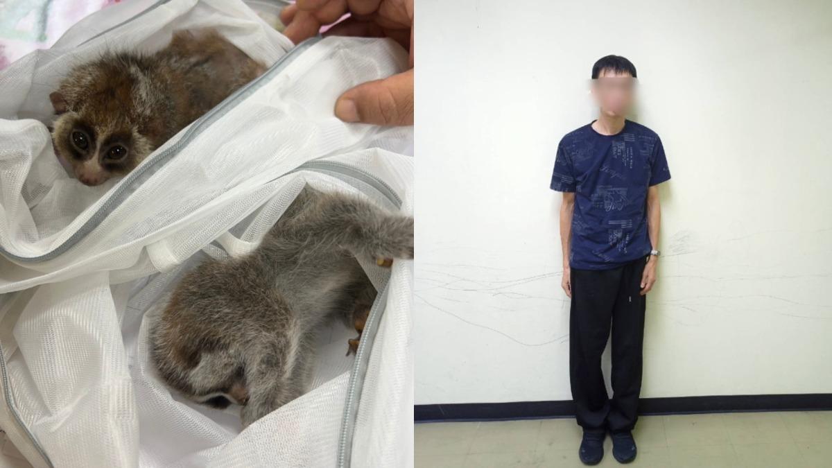 台男曼谷機場走私!毛衣偷藏8隻動物被抓包 恐關10年