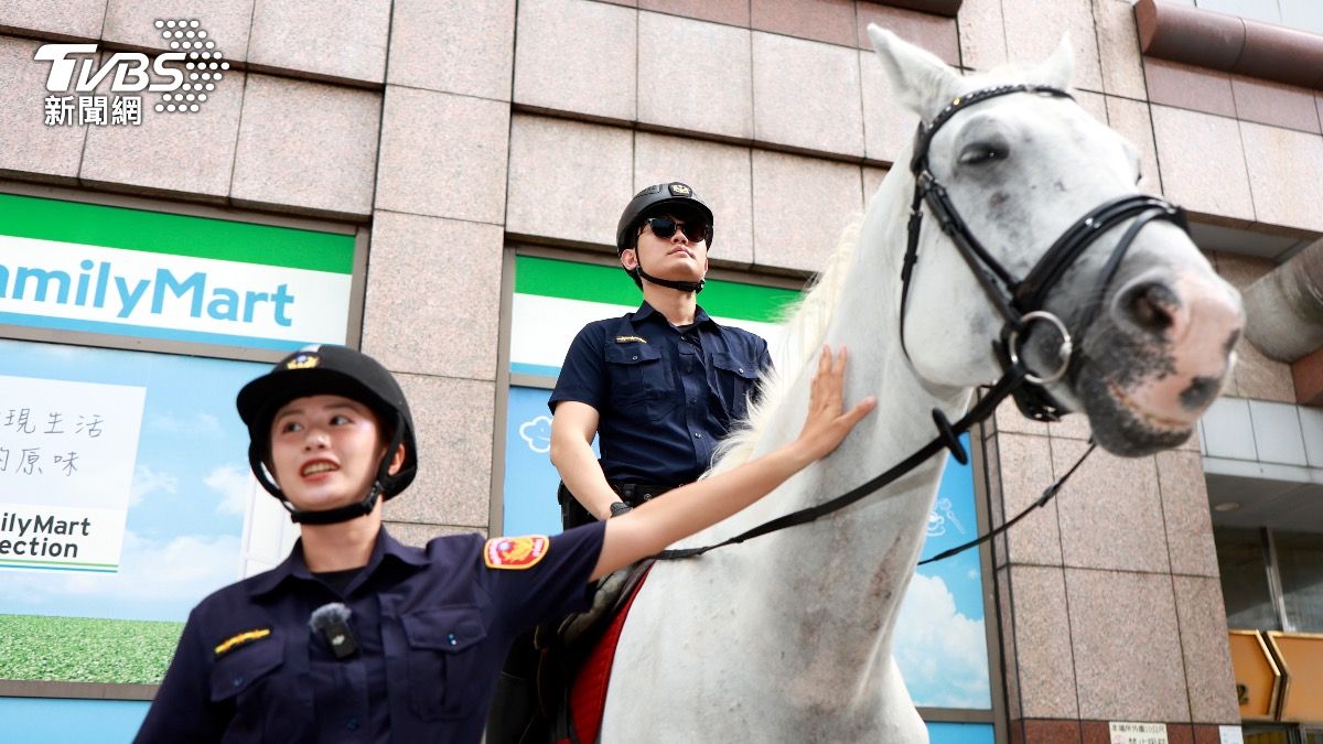 新北市騎警隊的警馬受邀至國慶大會表演。(圖/華子琛攝)