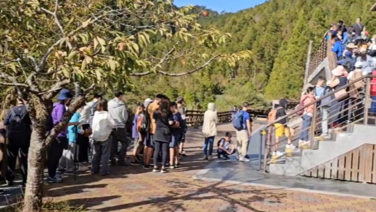 太平山11日上午9點前，就有1750人入園，9點45分蹦蹦車的車票更是已經賣光。（圖／TVBS）