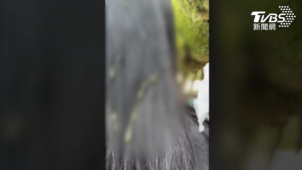 台人遊西班牙頭髮沾綠色液體，後續發現信用卡被偷。（圖片來源／jaofish threads）