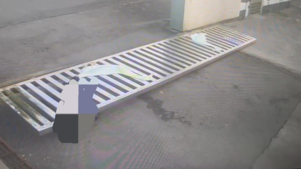鐵門壓死 國賠判決出爐　畜產試驗所須負部分責任。（圖／TVBS)