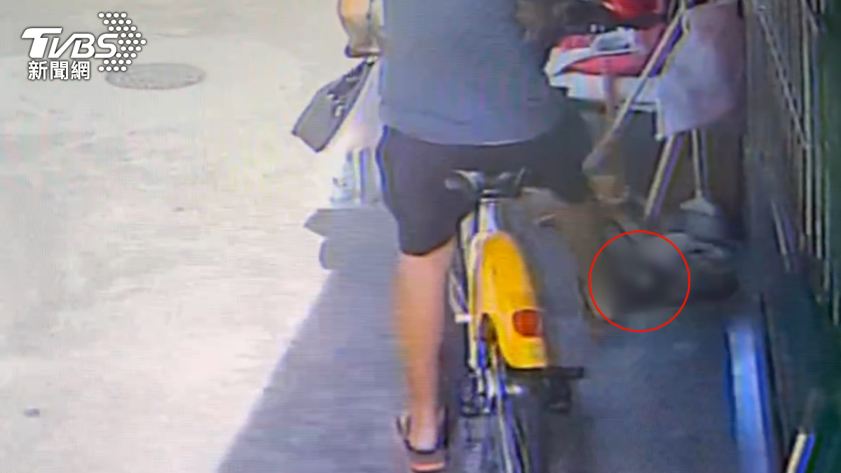 一名男子騎腳踏車,路上遇到一隻紅面番鴨擋路,他氣得踹一腳,還來回輾斃鴨子,飼主返家後調閱監視畫面,憤怒地向警方報案。(圖/TVBS)