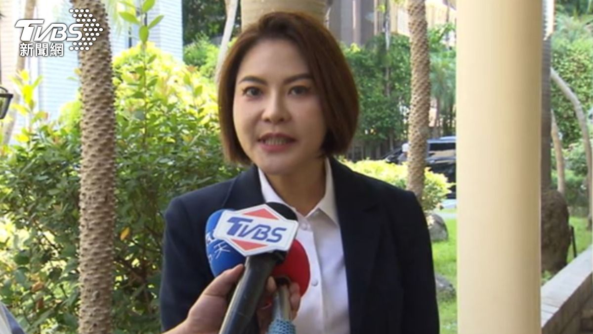 國民黨立委陳菁徽。(圖/TVBS)