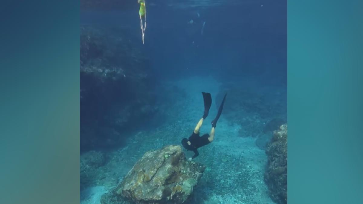 有民眾在蘭嶼海域潛水時,目睹一名戴著蛙鞋的人潛入海底,不停地敲打一顆硨磲貝。(圖/翻攝Threads_zhou_0105)