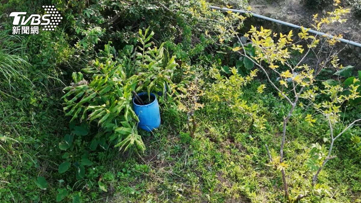 藍色水桶保育利器。(圖/TVBS)