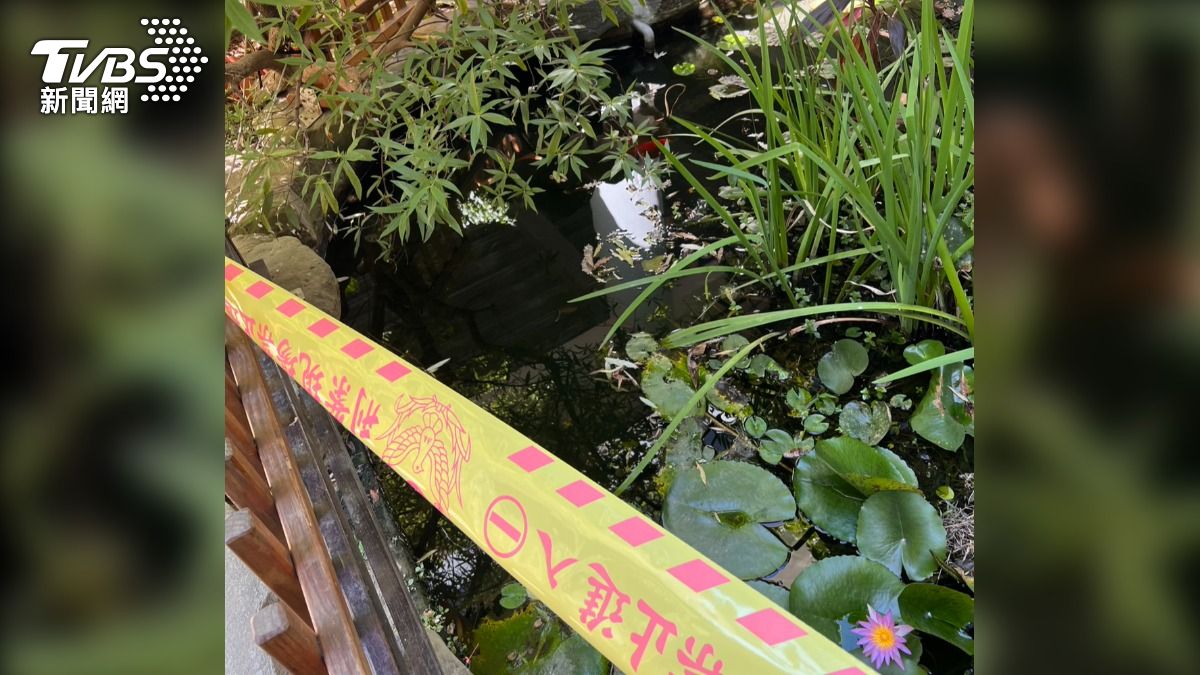 幼童墜生態池亡！竹北幼兒園「華德福教育」　親近自然卻奪命