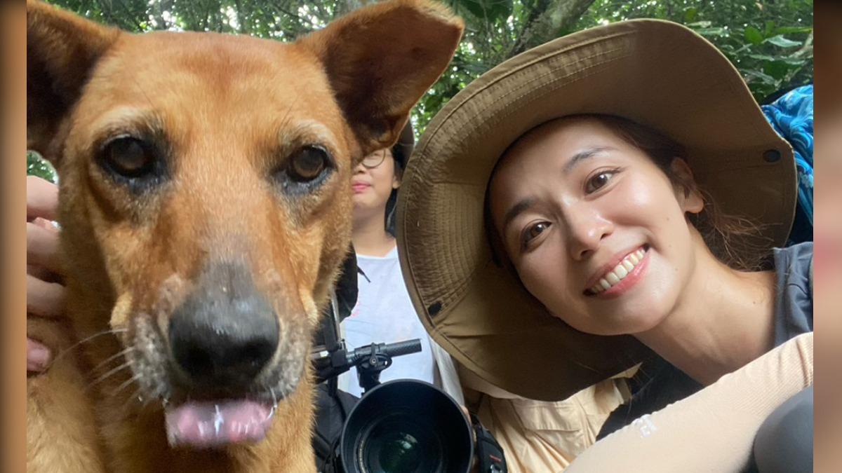 陳明珠在拍攝過程遇到小黃狗,陪她走完全程。(圖/客委會、客傳會提供)