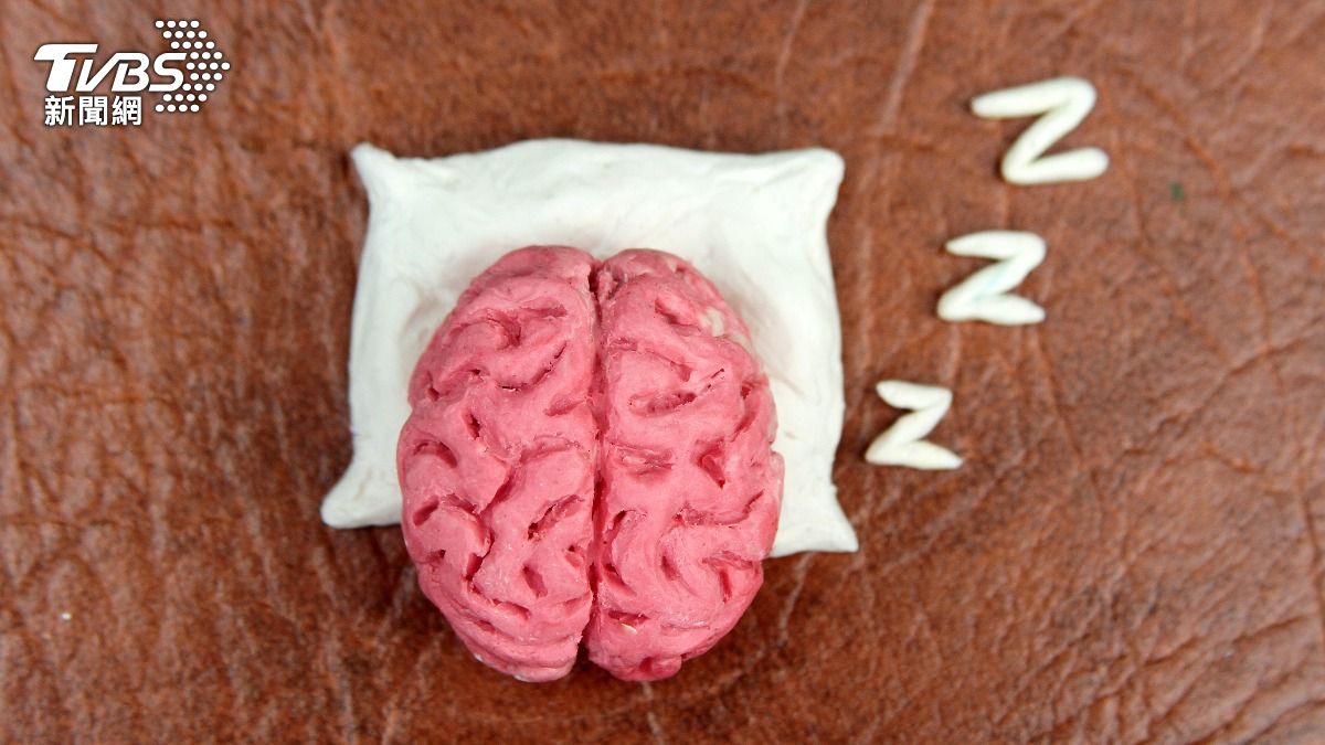 良好的睡眠在許多方面對大腦的健康來說至關重要。(示意圖/達志影像shutterstock)