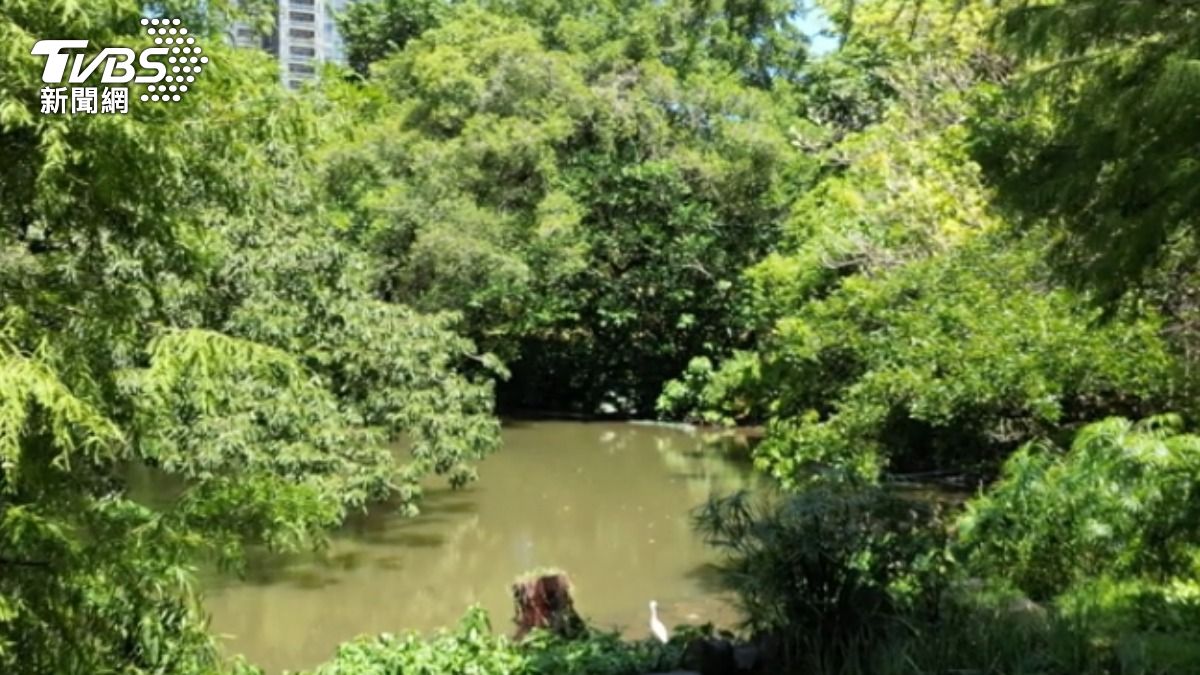 台北公園大改造!「活水飛輪」變身生態永續奇蹟 連廁所也超有戲