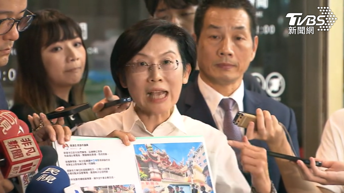 民進黨立委林岱樺（圖／TVBS）