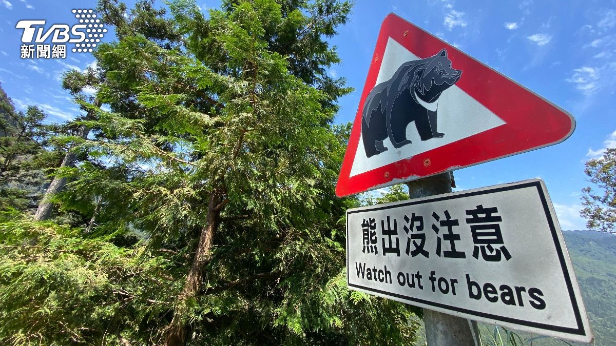 日本再爆野熊襲人!露天溫泉員工打掃突失蹤 現場遺留動物毛髮