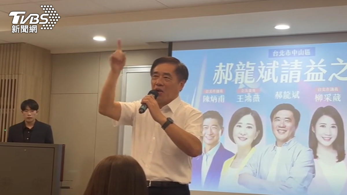 國民黨主席候選人郝龍斌(圖/TVBS)