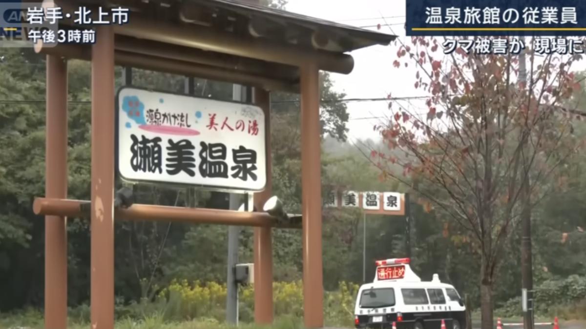日本溫泉飯店男員工打掃「被熊拖走」 今尋獲遺體、熊遭擊斃
