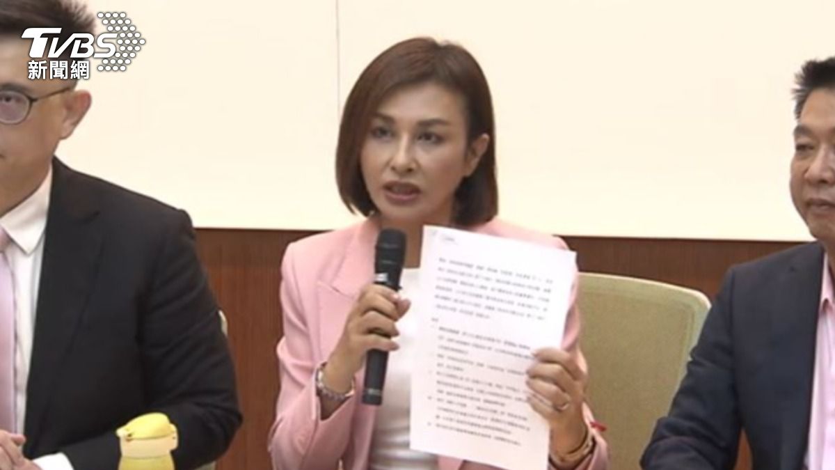 民進黨立委邱議瑩。(圖/TVBS)